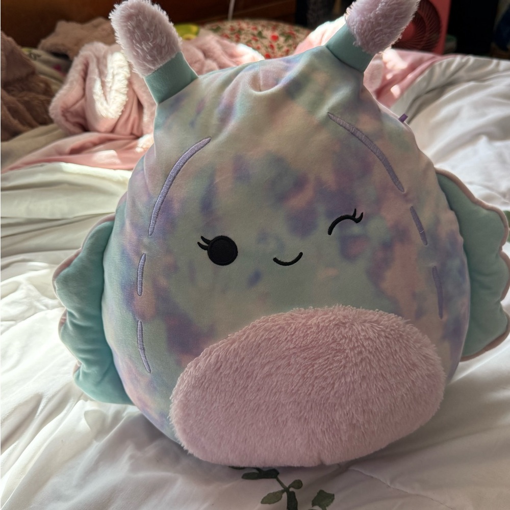 Large Dottie Sea Slug Squishmallow